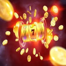 11 bets